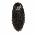 VIRGIN BURMESE CURLY