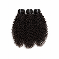 VIRGIN BURMESE CURLY
